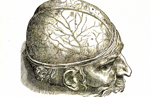 Image of an engraving from Vesalius, De humani corporis fabrica.